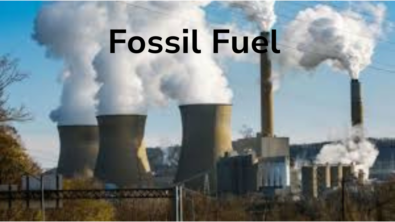 Fossil Fuel Use