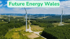 Setting the Record Straight on Renewables: Learn About Tackling Misinformation at Future Energy Wales