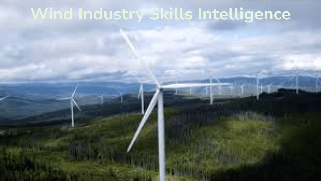 Wind Industry Skills Intelligence