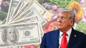 SNAP Benefits November 2025: When is the full payment deposited in each state?