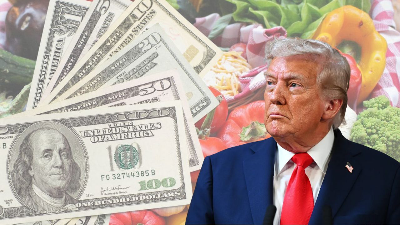 SNAP Benefits November 2025: When is the full payment deposited in each state?